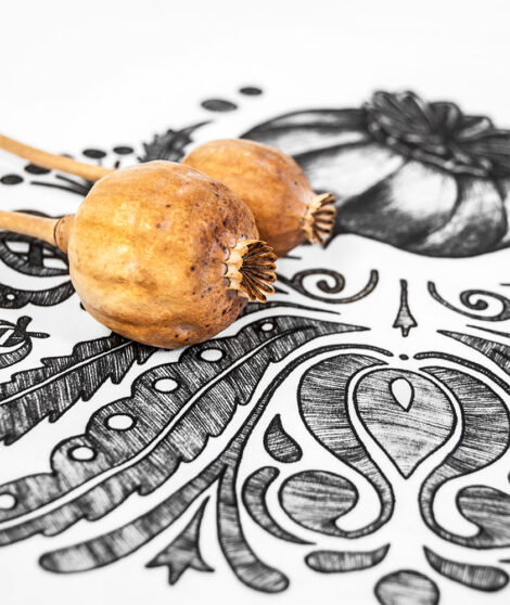 Tričko Makovička 3