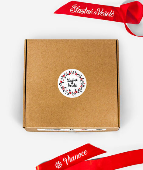 Pánska vianočná mikina so Sobom - krabička 1